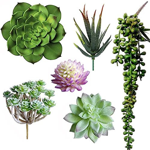 HOONAO 6 Pcs Künstliche Sukkulenten Verschiedene Arten Sortiert Faux Sukkulenten Unpotted für Blumen Arrangement Home Dekoration