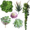 HOONAO 6 Pcs Künstliche Sukkulenten Verschiedene Arten Sortiert Faux Sukkulenten Unpotted für Blumen Arrangement Home Dekoration