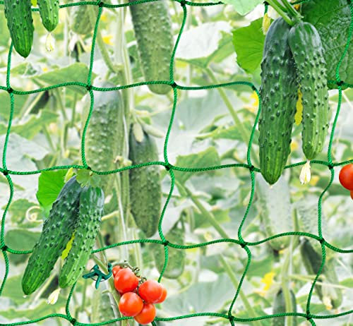 Mocraft Gurken Rankhilfe 3,5 x 2 m Ranknetz für Kletterpflanzen Spalier Rankgitter mit 10 Clips, Pflanzennetz für Kletterpflanzen, Gemüse und Obst (Maschnweite 10cm)