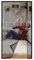 Zanzariera Magnetica Apertura laterale per Finestra 105x220cm - Aperture magnetiche, Zanzariera Magnetica, Zanzariera Automatica, Protezione Anti zanzare,Nero