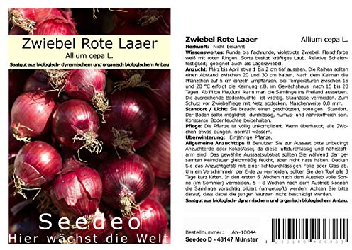 Seedeo® Zwiebel Rote Laaer (Allium cepa L.) 200 Samen BIO