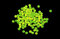 First4Fishing Genie - 3mm Rig Beads Chartreuse