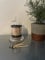 Large Black Tip Matches in A clear Glass Dome Cloche Bell Jar with a black glass base- Candle Care home Decor