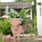 Suitchoi Hochlandkuh Geschenke Pflanzkübel Topf Niedliche Blumentöpfe für Gartendekoration im Freien,Weihnachts oder Geburtstagsgeschenke,S Highland Cow