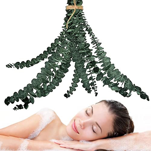 Stronrive Eucalipto Ducha, 10 Piezas Plantas Eucalipto Natural para La Ducha, Hojas Eucalipto Real para La Decoración Vegetación, Aromático Auto Cuidado Hojas Eucalipto Bundle