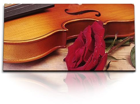Paul Sinus Kunstdruck Bilder 120x60cm Violine Geige rote Rose Rosenrot Blume Musik