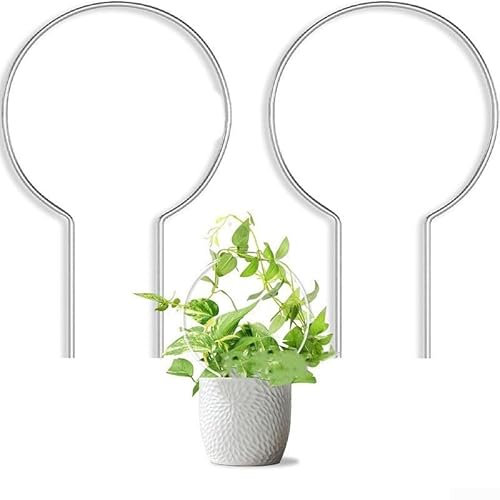 Acryl Form Pflanze Klettergerüst 2er Set, Stilvolle Unterstützung für Indoor und Outdoor Gartenarbeit