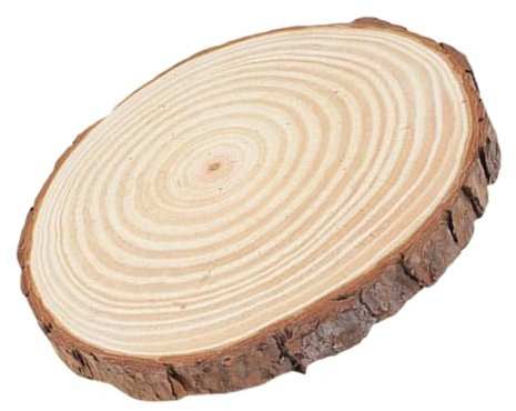 KONTONTY Holz Trittstein Dekoration Für Garten Natürliche Holzscheiben Für Kreative Gestaltung Für Garten Rasen Langlebig Und Vielseitig Einsetzbar