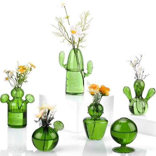 Maxdot Lot de 6 vases en verre en forme de cactus - Mini terrarium pour plantes - Station de propagation des plantes - Cadeau hydroponique d'intérieur pour les amateurs de plantes, décoration de
