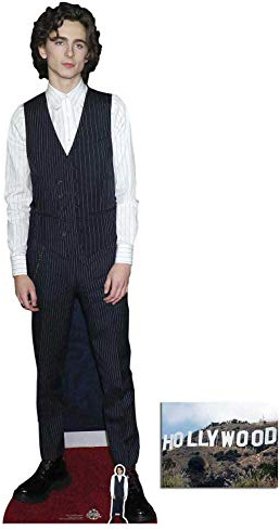 BundleZ-4-FanZ Timothee Chalamet Kartonaufsteller im Westen-Stil, lebensgroß, 179 x 53 cm, inklusive Mini-Ausschnitt und Foto, 20 x 25 cm