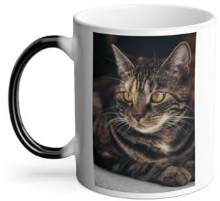 Mug Thermo-réactif Tasse Magique - Sublime Chat Tigre Grands Yeux Jaunes Mignon - 325 ml