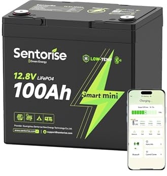SENTORISE 12V 100Ah Mini LiFePO4 Batterie, Kompakte Tiefzyklus Lithium Batterie mit Smart BMS, Bluetooth, Tieftemperaturschutz, 4000+ Zyklen, Platzsparendes Design für Wohnmobil, Marine