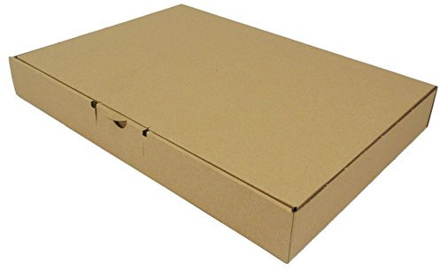 100 Stück Maxibrief Warensendung Karton Versandkartons Verpackung 350 x 250 x 50 B4