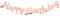 VINFUTUR Happy Birthday Girlande Rosegold, Happy Birthday Banner zum Aufhängen, Geburtstagsbanner Wimpelkette Geburstagsfeier Geburtsparty Deko für Erwachsene Kinder Mädchen und Jungen-5 Meter