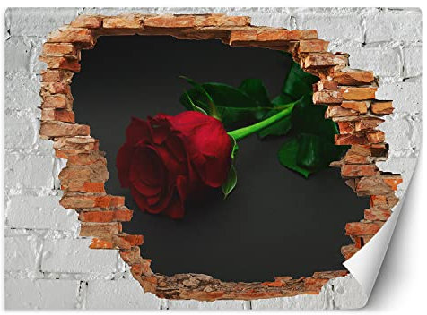 Feeby Fototapete 3D Abstraktion Loch in der Wand Natur 250x175 cm Rot Vlies Wandtapete Tapeten Wohnzimmer Schlafzimmer Büro Flur Moderne Design Wandbilder Wand Dekoration Rosen Blume