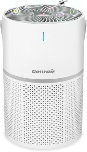 Gonrair Air Purifiers for Bedroom: Hepa Air Purifier 5 Layers H13 Desk Air Purifier With Essential Oil Diffuser Quiet Air Purifier Pet Air Purifier For Dorm Room (1PCS Upgrade White)