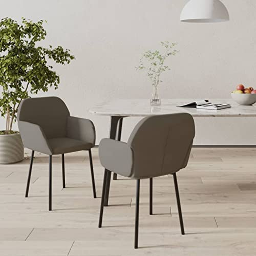 RuiNingRN Dining Room Chairs Set of 2 Dark Grey Velvet Upholstered with Armrest and Backrest, 54 x 59 x 76 cm, Metal and Plywood for Kitchen, Living Room, Office, Modern and Sturdy