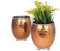 GoCraft Sukkulenten-Übertopf, 2er-Set – gehämmertes Kupfer-Finish, Mule-Tasse inspiriert, Kleiner Kaktus, Kräuter, Blumentopf, Fensterkasten, Behälter für Zuhause, Büro, Schreibtisch, Tischdekoration