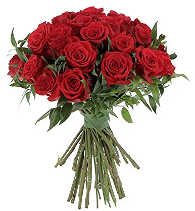 KENTIS - Bouquet di 36 Rose Rosse a Stelo Lungo 50 cm - Mazzo di Fiori Freschi a Domicilio in Italia - Rose Vere Regalo