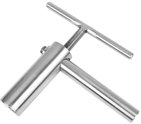 LeTkingok Manuelle Hochgeschwindigkeits-Ingwermühle aus Edelstahl, Handkurbel-Entsafter, Zitronen-Granatapfel-Presse