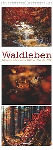Alpha Edition - Waldleben Triplets 2026 – Streifenkalender XXL 25×69 cm im Hochformat mit 12 Naturmotiven, Bildkalender mit Triplets-Design für Naturliebhaber & stimmungsvolle Wanddekoration