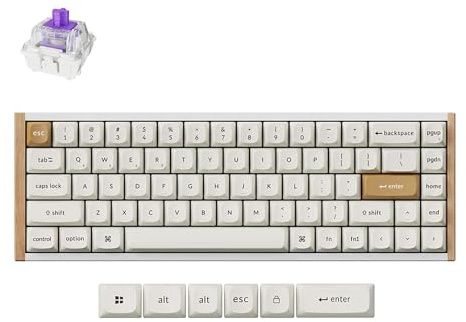 Keychron K6 HE Rapid Trigger Wireless Custom Teclado Mecánico con Efecto Hall Gateron Interruptor Magnético de Doble Riel, 2,4 GHz QMK Bluetooth 5.2 RGB Compatible con Mac Windows Linux, Blanco