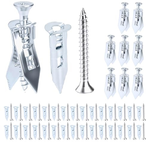 80 Set di Viti e Tasselli per Cartongesso, Tassello Autofilettante in Metallo, Tasselli Autofilettante per Cartongesso, Tasselli Autoperforanti con Viti per Fissaggio specchi e quadri (40 + 40)