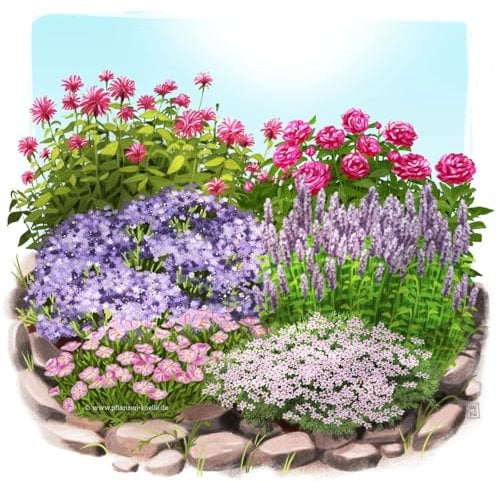 Duftstauden Set, 16 Pflanzen für 3 m², bunt