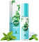 Minze Mundspray, 18ML, Mundspray mit Fruchtgeschmack,Atemerfrischer Mundgeruchspflege Mundspray, Bekämpft Mundgeruch, Hält den Atem Frisch, Reduziert das Gefühl von Mundtrockenheit