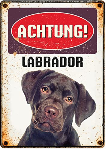 Blechschild im Retro-Stil | Achtung! Labrador | 21x14,8 cm | Wanddekoration für drinnen und draußen