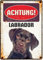 Blechschild im Retro-Stil | Achtung! Labrador | 21x14,8 cm | Wanddekoration für drinnen und draußen