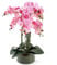 Leaf Design UK Realistic Artificial Orchid Flower Display in Pot, 50cm Pink/Glass Planter, 50cm Pink/Glass Planter