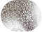 YöL 6 Placemats Set Christmas Metallic Silver Round Festive Xmas Table Home Decor Party Tableware Decorations