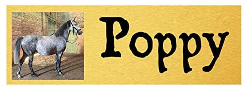 Personalised Stable Door Sign, Horse/Pony Name Plate Plaque Metal Sign