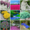 3000+ Stück Mix Kriechender Thymian Samen zum Anpflanzen, Thymus Serpyllum Heirloom, Bodendecker Pflanzen leicht zu pflanzen und wachsen, blau, lila, weiß, rot, grün, gelb Blumen