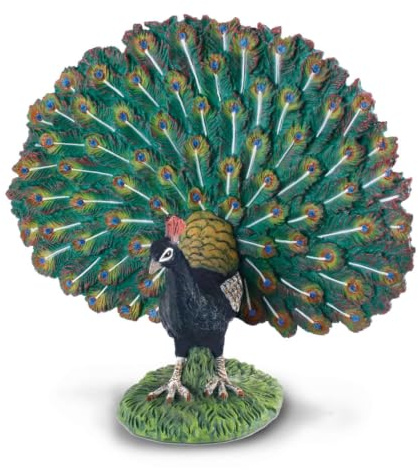 CollectA Peacock, Bird Figure | Realistic Collectable Animal Figure for Imaginative Play, Gift for Kids Age 3+