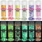 HEMOER 12 Couleurs Lumineuse Paillettes, 120g Fluorescent Paillette pour Visage, Qualité Cosmétique Paillette pour Corps, Cheveux, DIY Résine époxy, Art de fête du festival et plus -10g/Bouteille