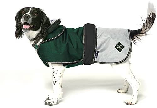 Danish Design Battersea Dogs Home Green 2 in 1 Summer and Winter Removable Lining Waterproof Windproof Dog/Puppy Coat 12 Inch 30 cm