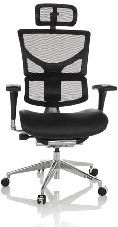 hjh OFFICE Profi Bürostuhl Ergo-U2 LM Leder Drehstuhl ergonomisch, Flexible Lendenwirbelstütze, Rückenlehne höhenverstellbar, Netzrücken Schwarz 651102