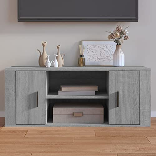 ShGaxin Meuble TV, meuble TV salon, meuble TV, meuble TV, meuble bas TV, modules de salon, bois contreplaqué gris Sonoma 100 x 35 x 40 cm