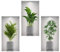 Wandtattoo Pflanzen 3D Grüne Pflanze Wandsticker Topfpflanze Wandaufkleber Blumen Kaktus Wandbilder Bonsai Vase Selbstklebend Wall Sticker Entfernbarer für Küche Wohnzimmer Bad Büro Wanddeko (B)
