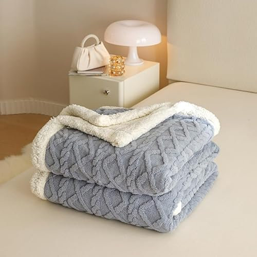 RongRongIN Kuscheldecke 200x230 cm Herbst Winter Flauschig Decke für Bett Sofa Couch – Grau Blau, Extra Weich Groß Doppelgesicht Wohndecke Tagesdecke Sofadecke Couchdecke Überwurfdecke Biber Warm