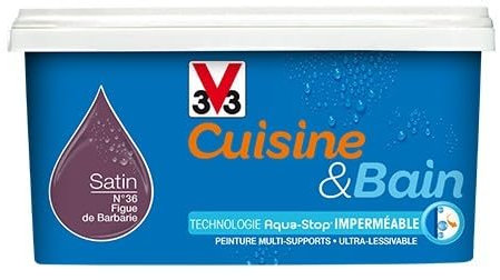 V33 Peinture Cuisine & Bain Figue de barbarie n°36-2 L