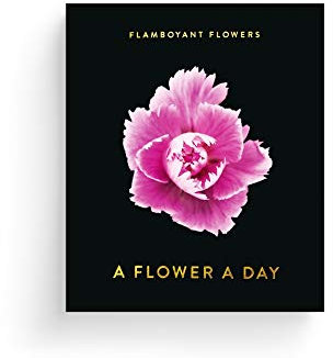 Flamboyant Flowers - immerwährender Kalender - A flower a day - Seltmann+Söhne-Verlag - Foto-Abreißkalender - Tagesabreißkalender mit 365 Instant-Fotos - 8,8 cm x 10,7 cm