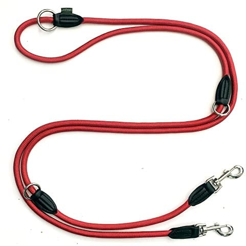 Leisegrün Verstellbare Hundeleine 3m - Robuste Nylon Doppelleine für mittelgroße bis große Hunde, 200kg Zugkraft, 2 Karabiner - Rot