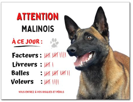 Plaque Malinois attention au chien humour à ce jour facteur panneau pancarte je monte la garde en aluminium