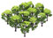 BESPORTBLE 12pcs Model Trees: Landscape Model Tree Train Scenery Architecture Trees Fake Trees for DIY Crafts Building Model Scenery Landscape