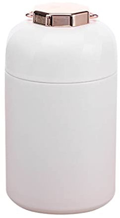 Leapiture Lunchbox, Edelstahl, wärmeisolierend, Lunchbox, tragbar, isoliert, Lebensmittelbehälter, großes Fassungsvermögen, Hand-Vakuumbecher für Büroangestellte, Studenten (LeapiturexFXMP-11)