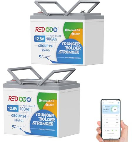 Redodo 12V 100Ah Group24 Bluetooth(2 Pack) Batterie LiFePO4,Batterie Lithium Basse Température Protection,BMS 100A,Petite Batterie LiFePO4 pour RV, Camionnettes, Remorques, Système Solaire