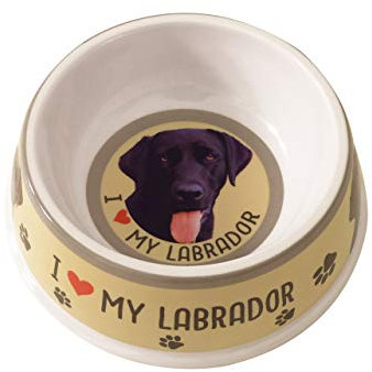 Labrador Pet Bowl - Dog Bowl - 20cm (Yellow)